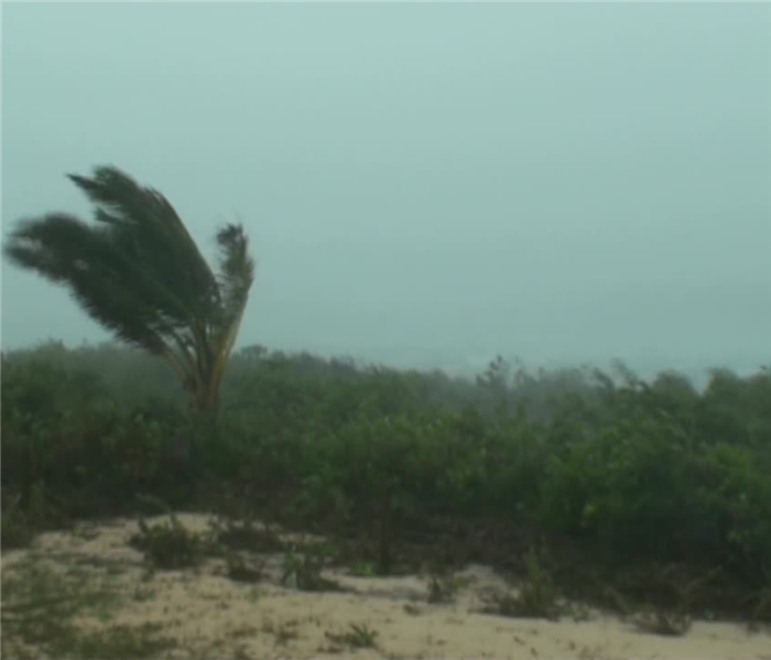 Storm Damage