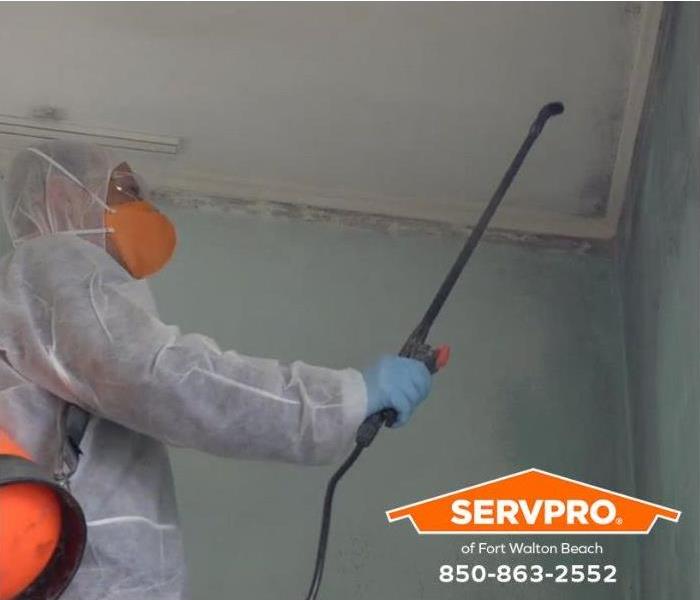 A technician sprays an antimicrobial treatment to eliminate mold colonies on a wall.